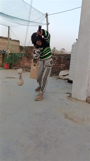 cricket playing home ground 🏏 #shorts #930