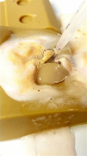 ✨ Your favorite glue test is here! ✨