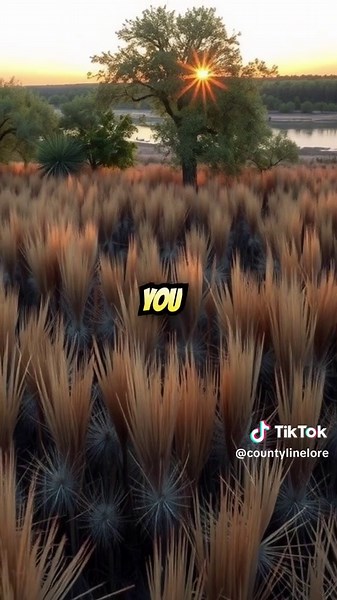 Texas land dispute along the Rio Grande shows how Texas Mexico border land can change. Hidalgo County Texas and Starr County Texas history reveal how river boundary law Texas impacts property rights and ownership. #TexasHistory #TexasPolitics #BorderDispute #PropertyRights #HoustonTexas