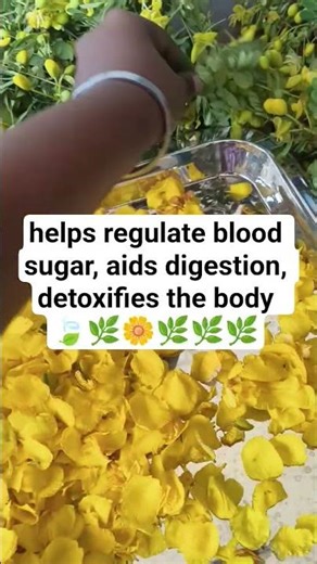 Avarampoo (Tanner's Cassia) || health benefits|| #herbal #nature #facecare #skincare #haircare