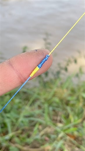 Beautiful fishing knot tutorial blood knot 👍👍 #fishing #fishingtips #fishingvideo #fishingknot | Kang Muhidin Fishing