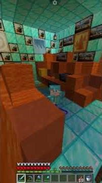 Find the 2 COMMAND Block and 4 PICTURES #shorts #minecraftvideos