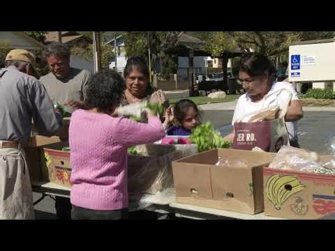 Sorting Out Organics - So You Don't Have To!