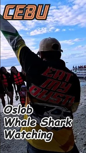 Oslob Whale Shark Watching Cebu – Overview of the Harbor, Boats, and Tour Crowd