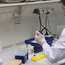 Video: Highly Efficient Transfection of Primary Macrophages with In Vitro Transcribed mRNA