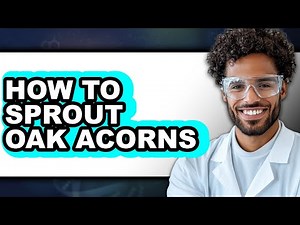 How To Sprout Oak Acorns - Full Guide