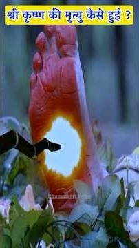 भगवान श्री कृष्ण की मृत्यु कैसे हुई ? #shorts #krishna #ytshorts
