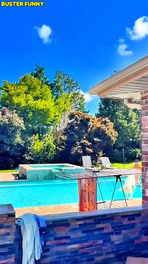 27K views · 1K reactions | BONE OR POOL? BUSTER CAN’T DECIDE! 領 What’s more important to Buster — his brand new bone or his beloved pool? The struggle is real… and hilarious.  | Buster Funny | Facebook