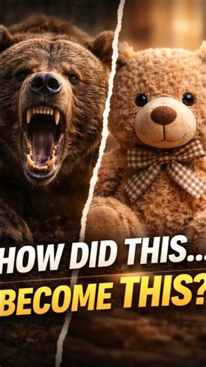 How a Deadly Bear Became a Teddy