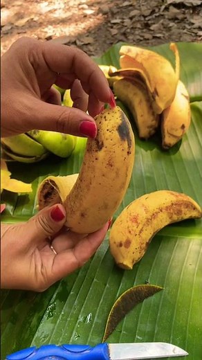 The Banana Fruit #bananafruit