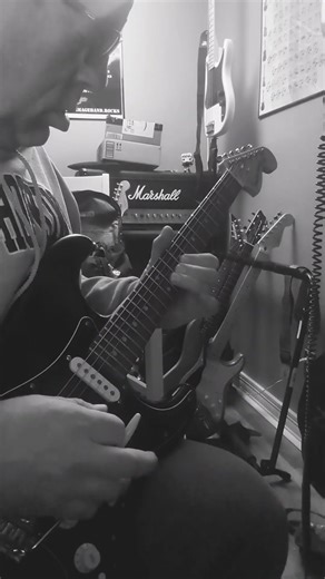 Echoes Pink Floyd - My Journey - Part 1 #pinkfloyd #echoes #gilmour