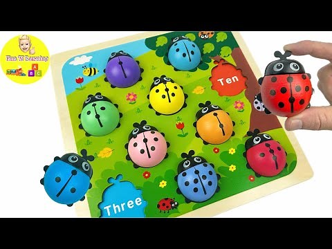 Let's Count, Learn and Play with Ladybug Puzzle | Best Preschool Toddler Fun Learning Activity Video