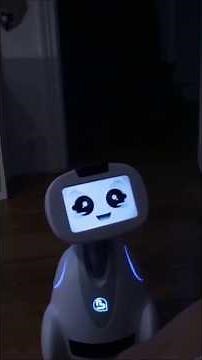 Ce robot tout mignon peut-il devenir votre meilleur ami ?