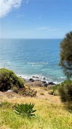 Kangaroo Island Is Not What You Think 🦘