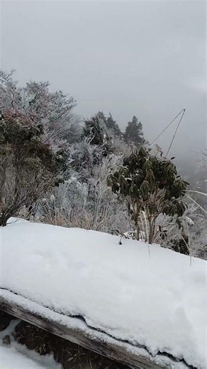 【山頂シリーズ】雪の笠形山