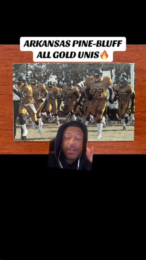 All Gold for the Golden Lions😮‍💨😮‍💨😮‍💨 #uapb #arkansaspinebluff #uapbfootball #swac #hbcufootball