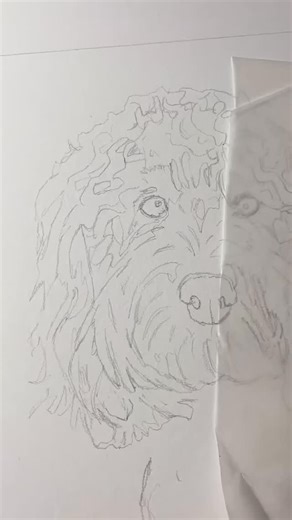 220 reactions · 4 comments | 李 Beautiful Clemmie 李 ✍ 10”x10” colour pencil on Fabriano Artistico hot press watercolour paper. ️ Now taking commissions for 2026! Get in touch if you’d like to talk about commissioning a portrait!  #katesprattart #petportrait #dog #dogs #doggo #dogsofinstagram #petportraitartist #doglover #dogportrait #instadog #cockerpoo #cockapoo | Kate Spratt Equine Art | Facebook