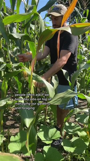 Urban Homesteading: Big News and Sustainable Living