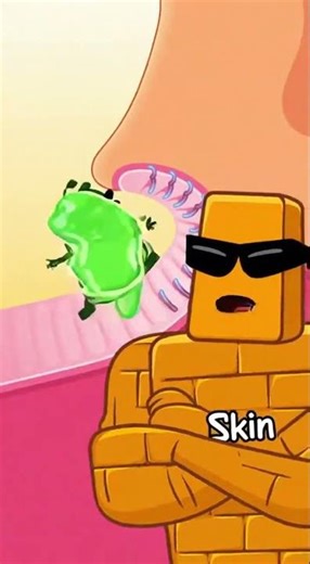 Immunity Simplified - Skin - innate immunity