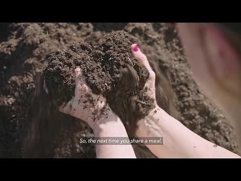 Recology Organics - Processing