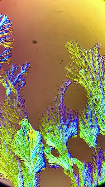 Crystal Growth Time-Lapse – Mesmerizing Transformation Captured