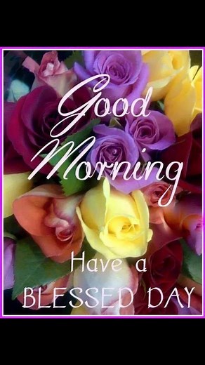 Sarah Rebecca on Reels