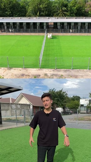 5 Things You Need to Know About Dog Kingdom Kennel's BREEDING Facilities