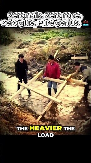 How to Build a Bridge with Only Sticks and Gravity #diy #science #shorts