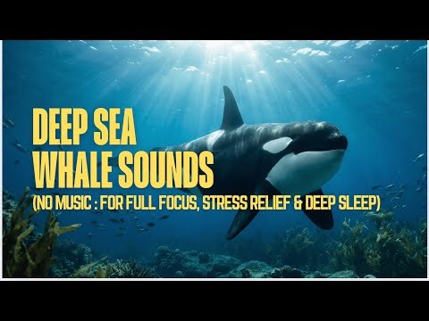 Stress Relief & Deep Sleep Heavy Underwater Brown Noise + Orcas [NO MUSIC]