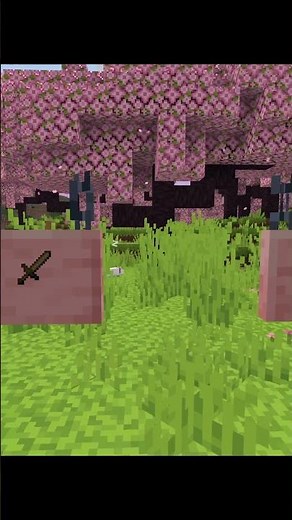 Secret Feature in Minecraft Signs Part 2