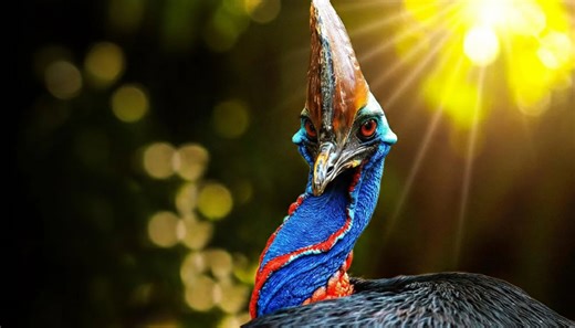 Waste as a weapon – the creatures that turn poo into power