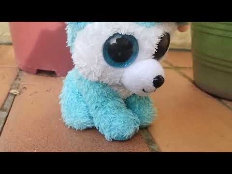 Cache cache avec prince