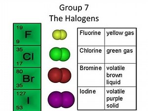 The Halogens Group 7