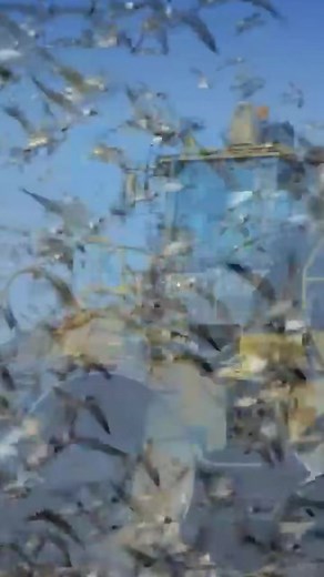 The Caterpillar 836K Landfill Compactor #836k #caterpillar #836kcompactor #caterpillarequipment #bigmachine #dozer #landfill #landfilloperator | Jaime Blevins1