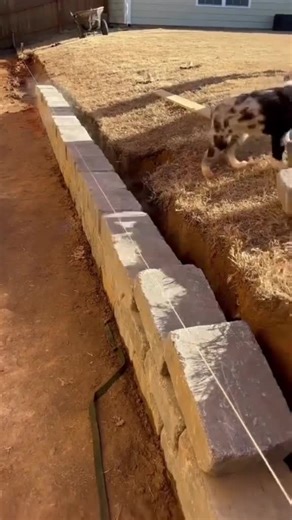 126K views · 985 reactions | Very Cool  We Love Tools | Total Tools | Facebook