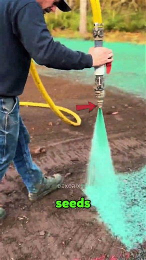 They’re Spraying GREEN Paint?! The Truth Behind This Lawn Transformation 🌱