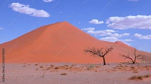 Astonishing time lapse of clouds moving over Dune 45, a massive sand dune in the Namib desert, Namibia. Stock Video