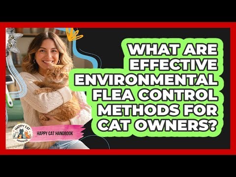 What Are Effective Environmental Flea Control Methods For Cat Owners? - Happy Cat Handbook