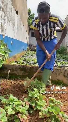 🌱Agriculture is a commendable, valuable and profitable profession.