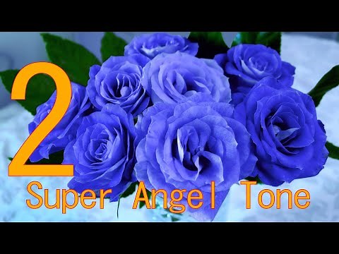 2 本物の奇跡が起きるミラクルサウンド スーパー エンジェルトーン 幸せをあなたに ソルフェジオ 周波数 全部入り＋エンジェルナンバートーン A=432Hz