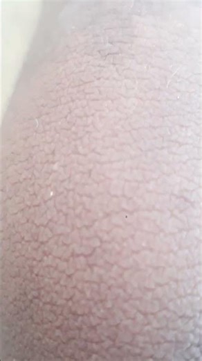 samsung j7 prime zoom