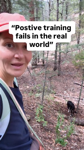 “Positive training fails in the real world with real distractions” Challenge accepted 💪🏻 | SpiritDog Training