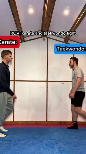 Taekwondo vs Karate: Comparing the Martial Arts
