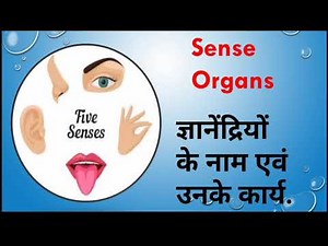 SENSE ORGANS AND THEIR FUNCTION IN HINDI