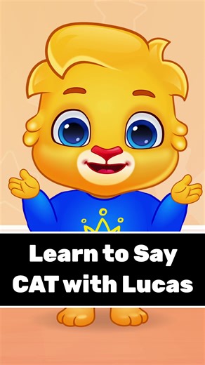 16K views · 104 reactions | Lucas is BACK - with a tiny cat and a...