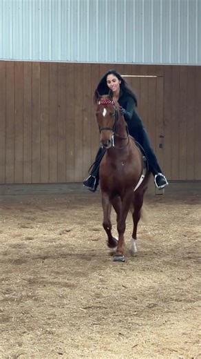 First Ride in an English Saddle with Young Horse Bravado
