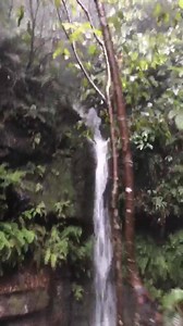 1.4K views · 87 reactions | #LOSTMTNS Early morning team run through the cloud and mist. Our home most definitely turning it up for the long weekend  #bluemountains | Blue Mountains Explore | Facebook