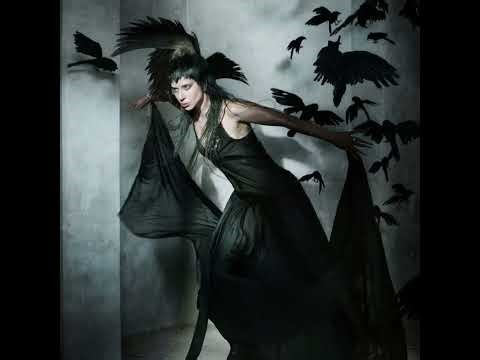 Lady Gaga - The Neon Lights (LG8 Concept)