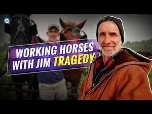 What happened to Working Horses With Jim?