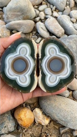 beautiful patterned agate stone 😱🤩